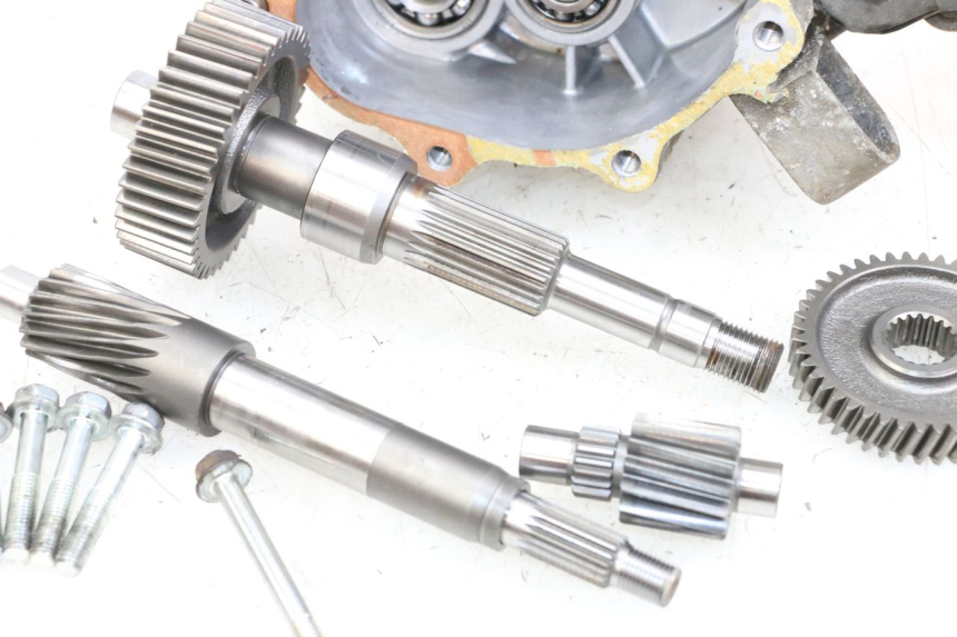 photo de RUEDA TRASERA ENGRANAJES HONDA FES PANTHEON 2T 125 (1998 - 2002)