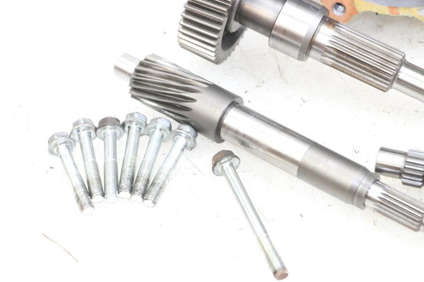 photo de RUEDA TRASERA ENGRANAJES HONDA FES PANTHEON 2T 125 (1998 - 2002)