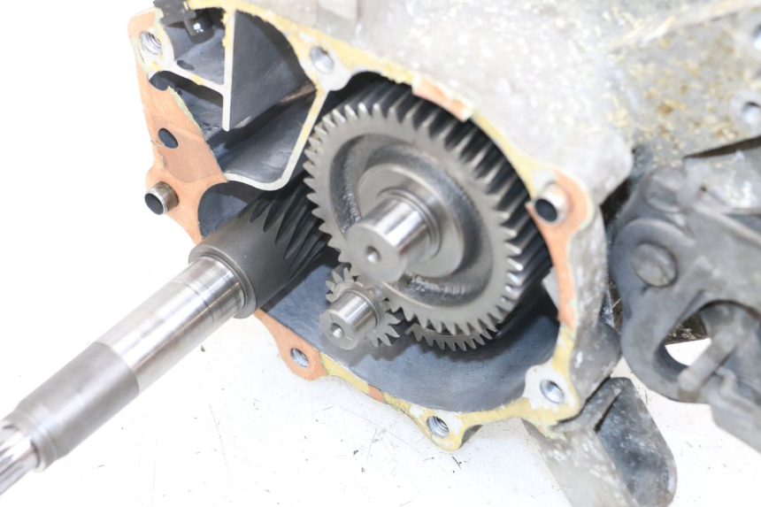 photo de RUEDA TRASERA ENGRANAJES HONDA FES PANTHEON 2T 125 (1998 - 2002)