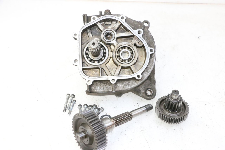 photo de RUEDA TRASERA ENGRANAJES DAELIM HISTORY 125 (2001 - 2002)