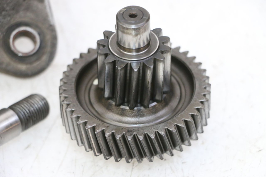 photo de RUEDA TRASERA ENGRANAJES DAELIM HISTORY 125 (2001 - 2002)