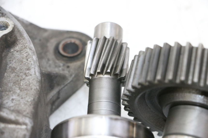 photo de RUEDA TRASERA ENGRANAJES DAELIM HISTORY 125 (2001 - 2002)