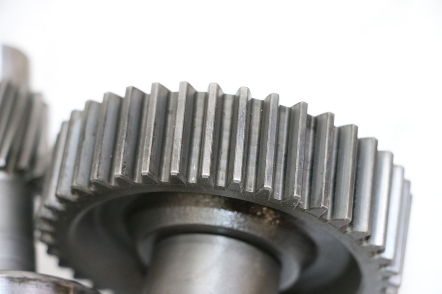 photo de RUEDA TRASERA ENGRANAJES DAELIM HISTORY 125 (2001 - 2002)