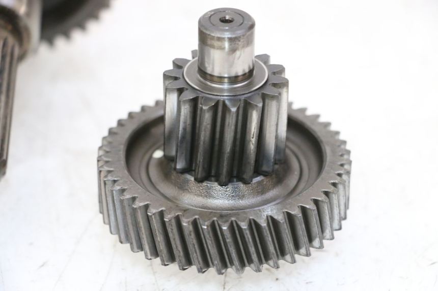 photo de RUEDA TRASERA ENGRANAJES DAELIM HISTORY 125 (2001 - 2002)