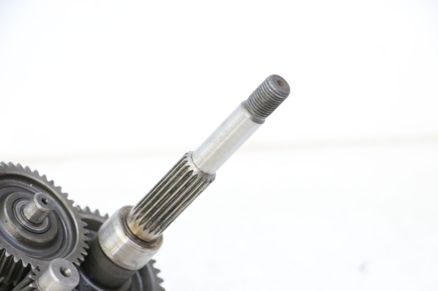 photo de RUEDA TRASERA ENGRANAJES DAELIM HISTORY 125 (2001 - 2002)