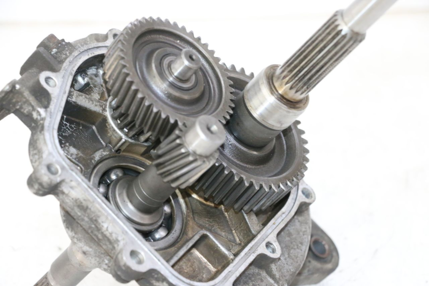 photo de RUEDA TRASERA ENGRANAJES DAELIM HISTORY 125 (2001 - 2002)