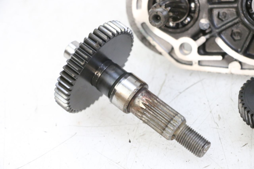 photo de RUEDA TRASERA ENGRANAJES PEUGEOT ELYSTAR 50 (2002 - 2014)