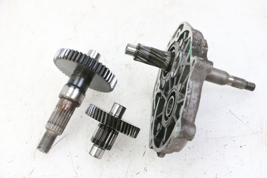 photo de RUEDA TRASERA ENGRANAJES PEUGEOT ELYSTAR 50 (2002 - 2014)