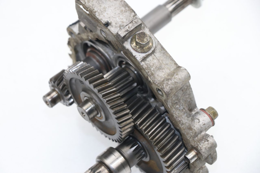 photo de RUEDA TRASERA ENGRANAJES REVATTO FUTURA GT 125 (2006 - 2008)