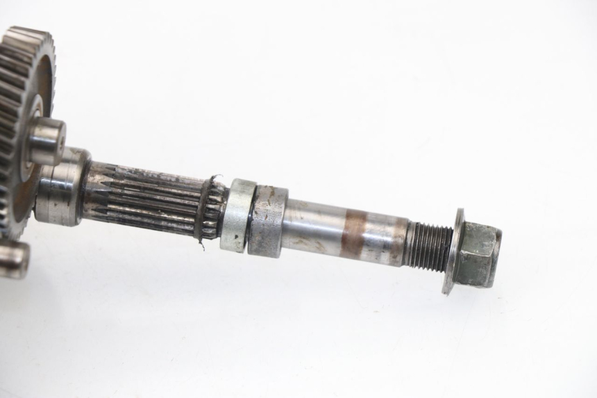 photo de RUEDA TRASERA ENGRANAJES REVATTO FUTURA GT 125 (2006 - 2008)