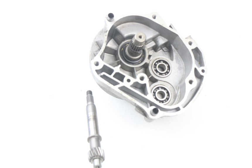 photo de RUEDA TRASERA ENGRANAJES ROADSIGN WALLABY 50 (2009 - 2014)