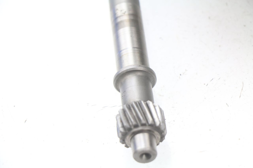 photo de RUEDA TRASERA ENGRANAJES ROADSIGN WALLABY 50 (2009 - 2014)