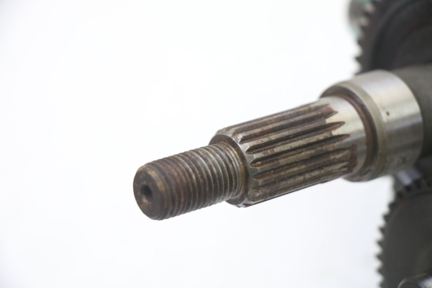 photo de RUEDA TRASERA ENGRANAJES PEUGEOT VIVACITY 50 (2004 - 2009)