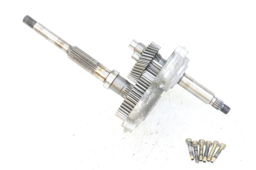 photo de RUEDA TRASERA ENGRANAJES YAMAHA YP MAJESTY 125 (2007 - 2010)