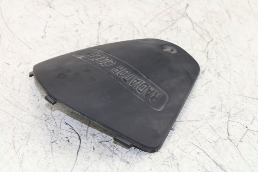 photo de TAPA FRONTAL  KYMCO K-XCT 125 (2013 - 2017)