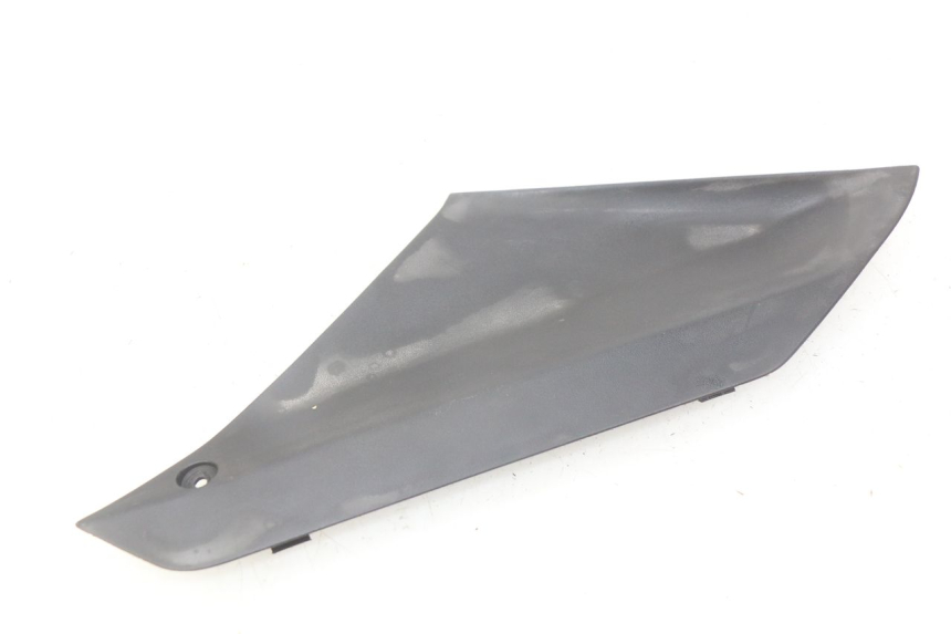 photo de TAPA DE INSPECCIÓN IZQUIERDA PEUGEOT GEOPOLIS 400 (2007 - 2013)