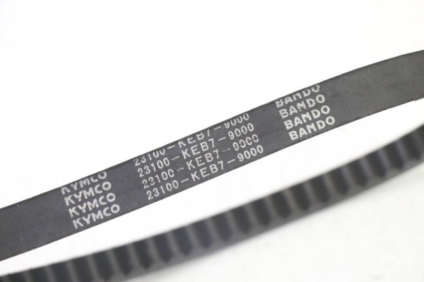 photo de VARIADOR KYMCO AGILITY NAKED RENOUVO 2T 50 (2011 - 2018)