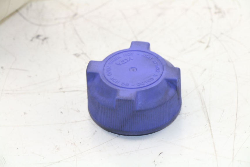 photo de BOTELLA EXPANSION PEUGEOT SATELIS 125 (2013 - 2018)