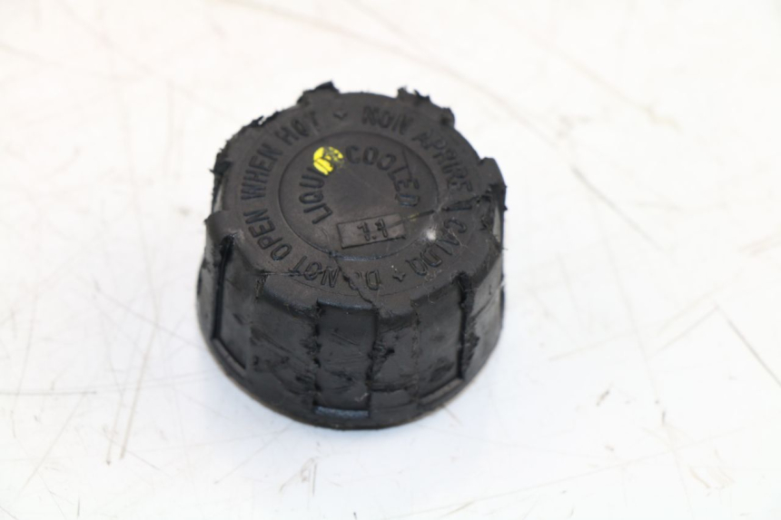 photo de DEPÓSITO DE EXPANSIÓN PIAGGIO MP3 500 (2011 - 2015)