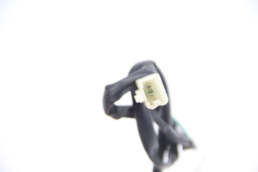 photo de LUZ PILOTO JM MOTORS F45i 4T 50 (2020 - 2023)