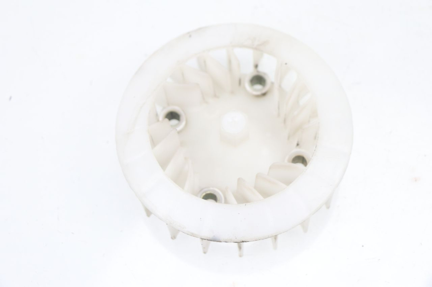 photo de VENTILADOR JM MOTORS VIPER 4T 50 (2015 - 2022)