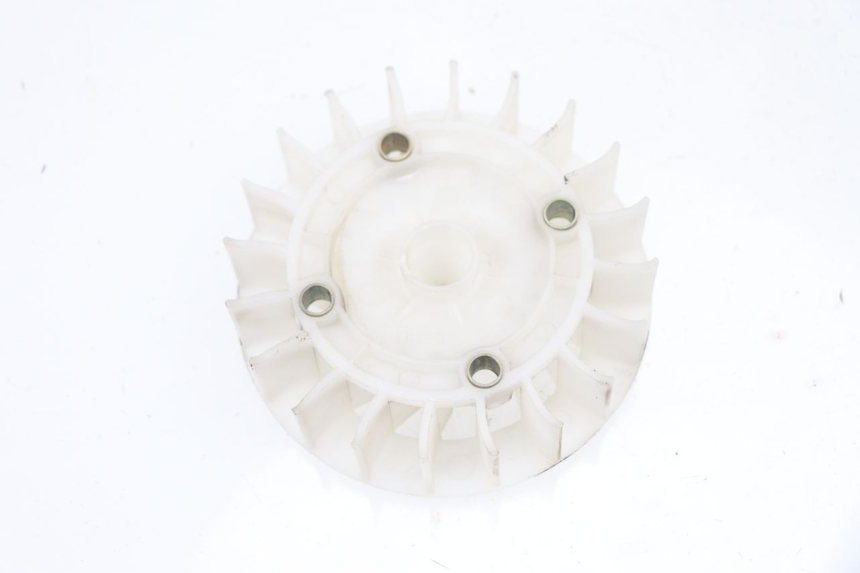 photo de VENTILADOR JM MOTORS VIPER 4T 50 (2015 - 2022)