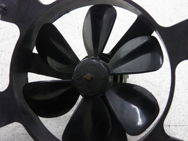 photo de VENTILADOR PEUGEOT ELYSEO 125 (1999 - 2004)