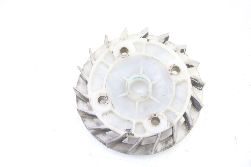 photo de VENTILADOR PEUGEOT TWEET 4T 50 (2018 - 2020)
