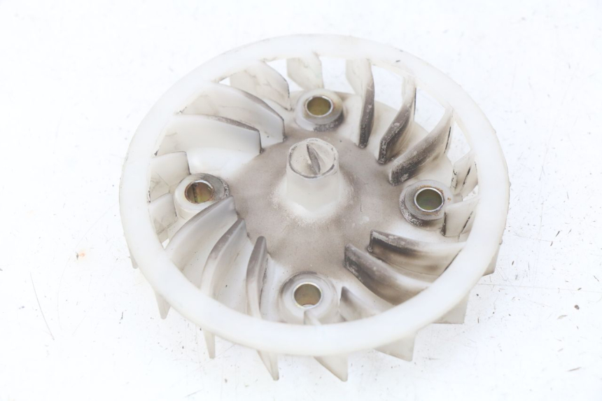 photo de VENTILADOR PEUGEOT TWEET ACTIVE 4T 50 (2018 - 2022)