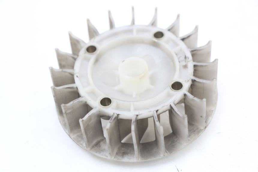 photo de VENTILADOR BEELINE VELOCE 4T 50 (2011 - 2020)