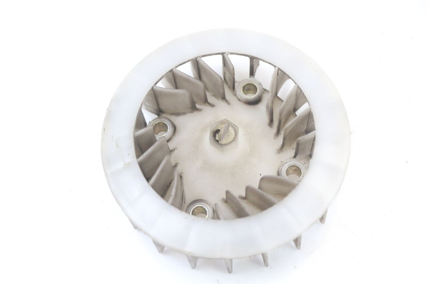 photo de VENTILADOR BEELINE VELOCE 4T 50 (2011 - 2020)