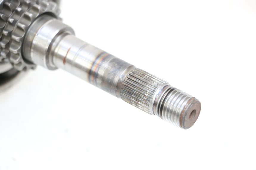 photo de CIG HONDA NHX LEAD 110 (2008 - 2010)